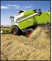 Campo