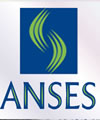 ANSES ANSES