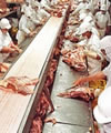 Carne Carne