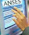 ANSES ANSES