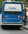 colectivos