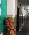 docentes docentes