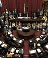 senadores senadores