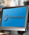 Ingresos Brutos Ingresos Brutos