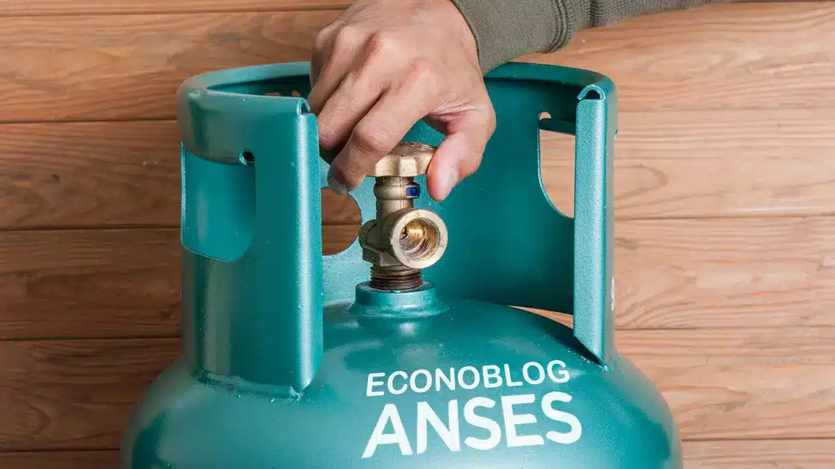 ANSES: Pago automático del Programa HOGAR 2017