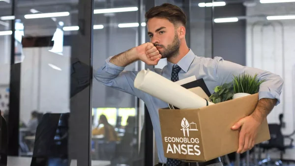 Titular del fondo de desempleo de Anses