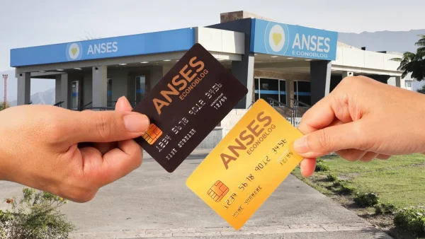 Tarjetas de la Anses