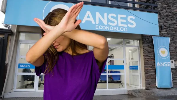 Titular del Plan Acompañar en Anses