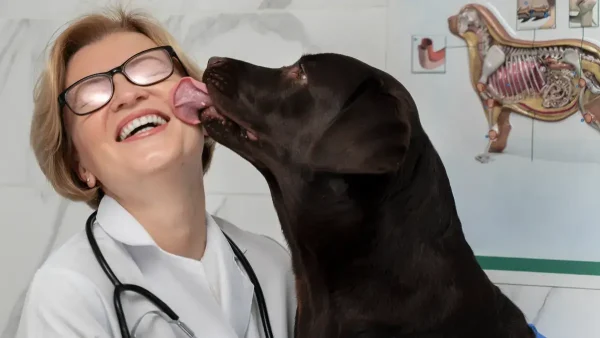 Veterinaria con un perro