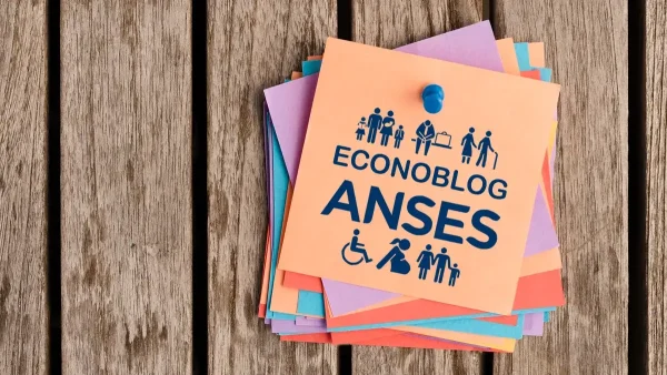 Stick de Anses para AUH, SUAF, Jubilados y Pensionados