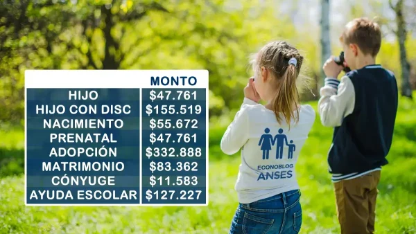 Nuevos montos del SUAF para enero