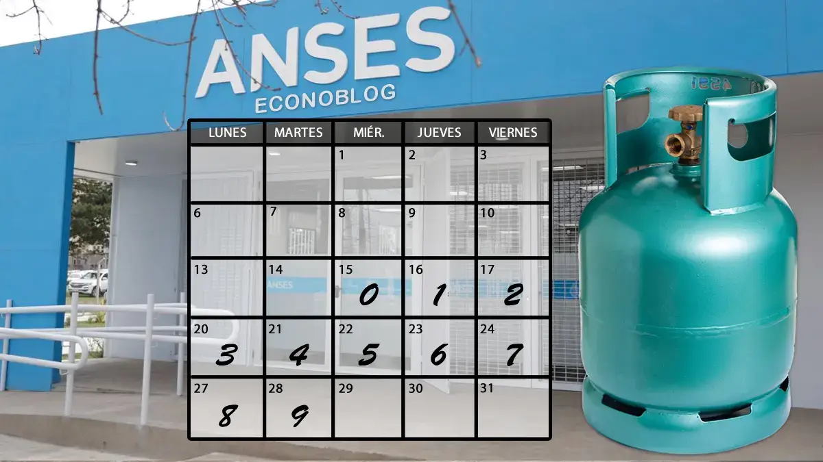 Fechas de cobro del Plan Hogar en enero de 2025