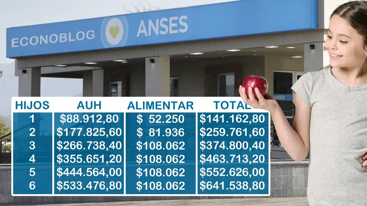 Montos a cobrar por AUH y Tarjeta Alimentar en julio de 2025