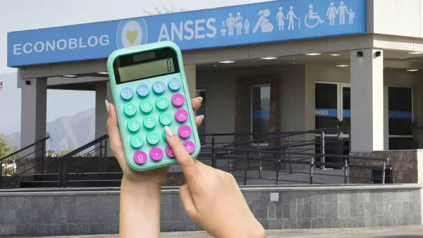 Calculadora en Anses