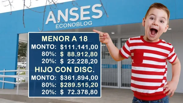 Valores de AUH