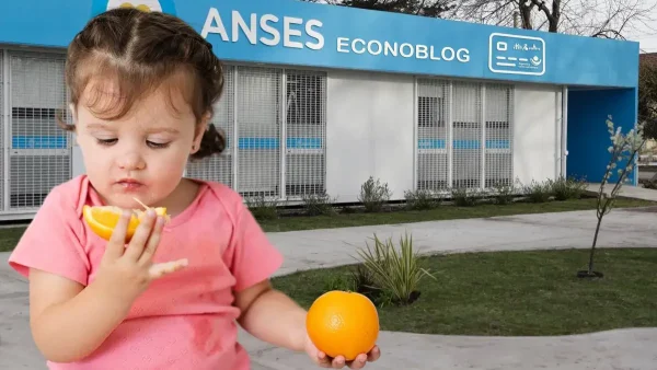 Beneficiaria de Tarjeta Alimentar en Anses