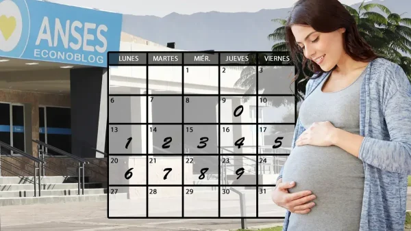 Asignación por embarazo en octubre de 2025