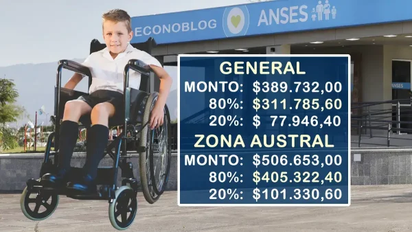 Montos de AUH con discapacidad