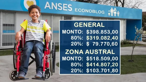 Valores de AUH con discapacidad