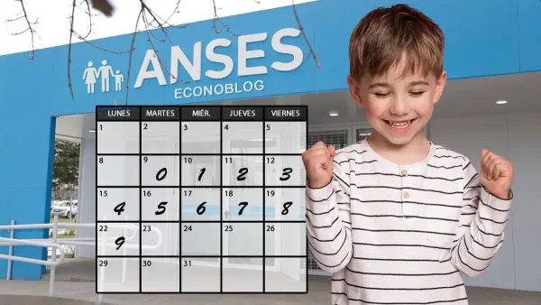 SUAF en diciembre de 2025