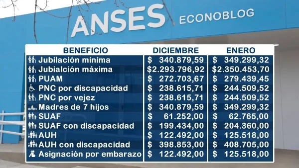Importes para enero de 2026