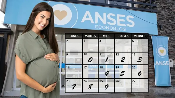 Asignación por embarazo en febrero