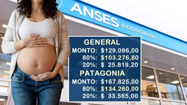 Aumento de asignación por embarazo