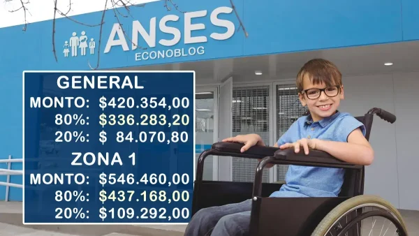 AUH con discapacidad en febrero