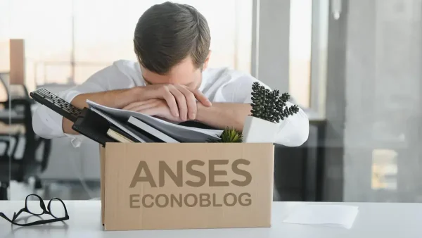 Titular del fondo de desempleo de Anses