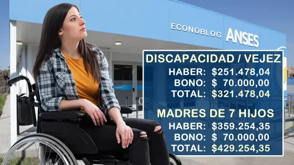 Importes para febrero de 2026