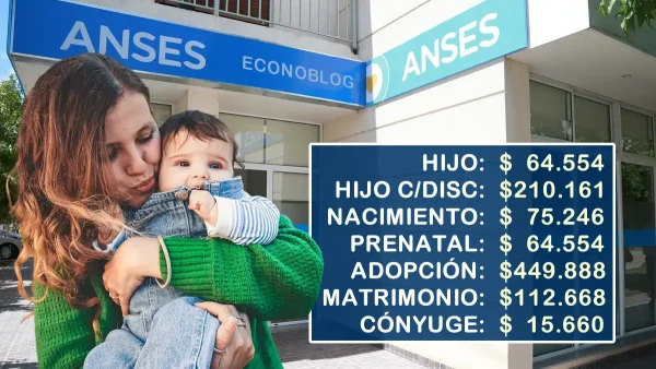 SUAF en febrero de 2026