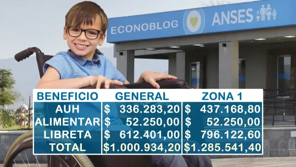 AUH con discapacidad con Libreta en febrero