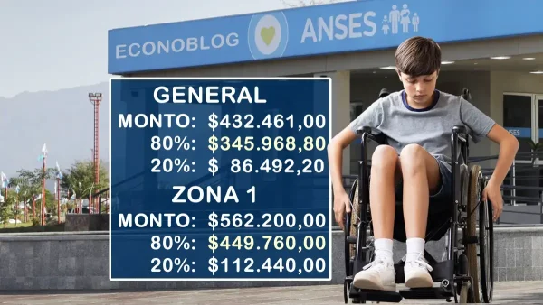 Montos de AUH con discapacidad