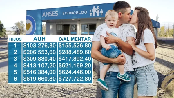 Importes de AUH en febrero