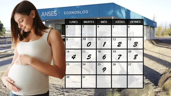 Calendario de asignación por embarazo