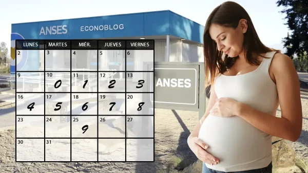 Asignación por embarazo en marzo de 2026