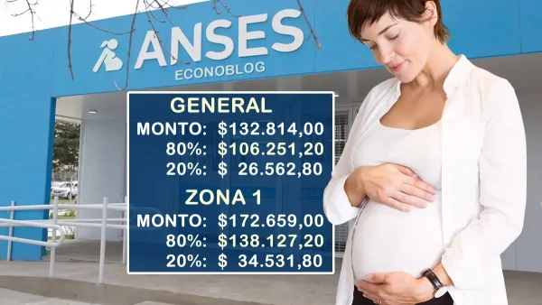 Asignación por embarazo en marzo de 2026