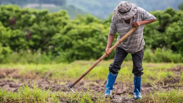 Trabajador rural