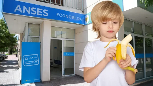 Titular de Tarjeta Alimentar en Anses