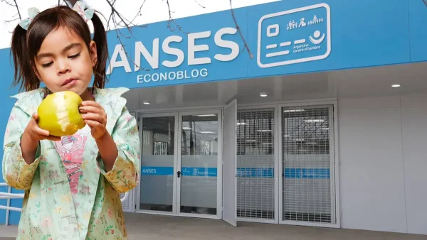 Beneficiaria de Tarjeta Alimentar en Anses