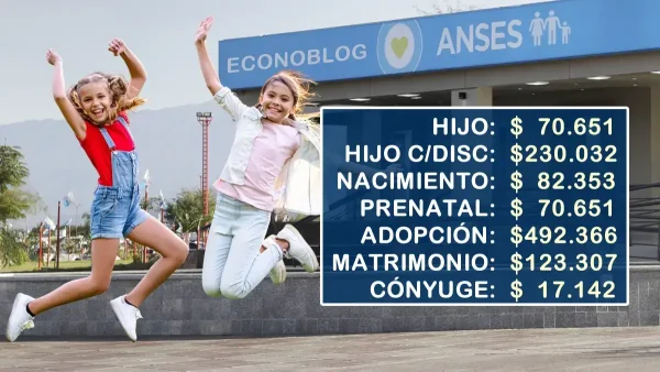 Asignaciones del SUAF