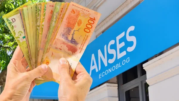 Billetes de pesos en Anses