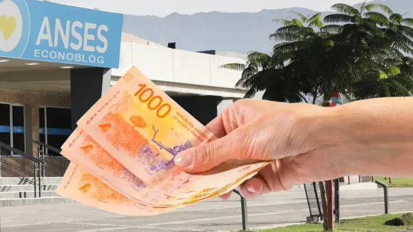 Pesos en Anses