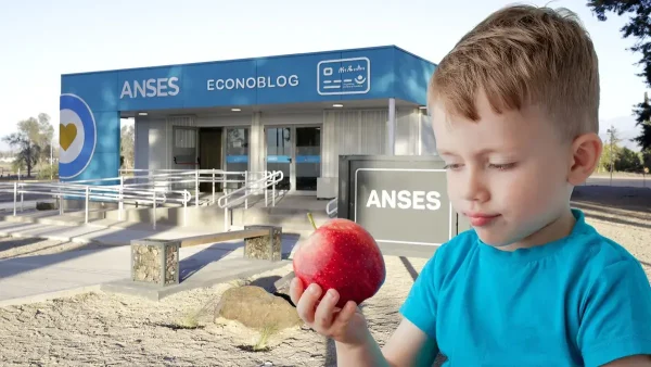 Beneficiario de Tarjeta Alimentar en Anses