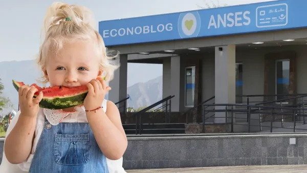 Beneficiaria de Tarjeta Alimentar en Anses