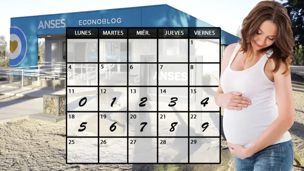 Asignación por embarazo en mayo de 2026