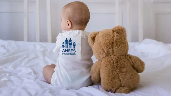 Bebé de AUH de Anses con oso