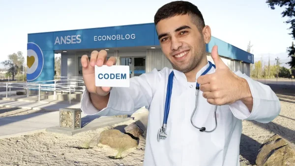 Codem de Anses