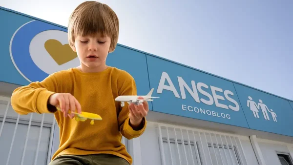 Titular del SUAF en Anses