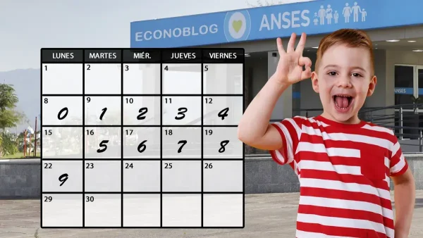 Fechas de AUH y SUAF